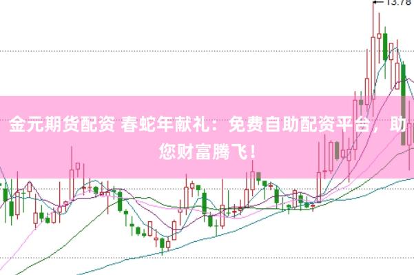 金元期货配资 春蛇年献礼：免费自助配资平台，助您财富腾飞！