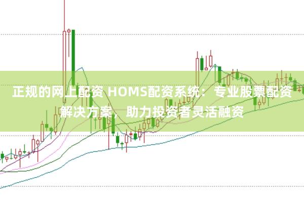 正规的网上配资 HOMS配资系统：专业股票配资解决方案，助力投资者灵活融资
