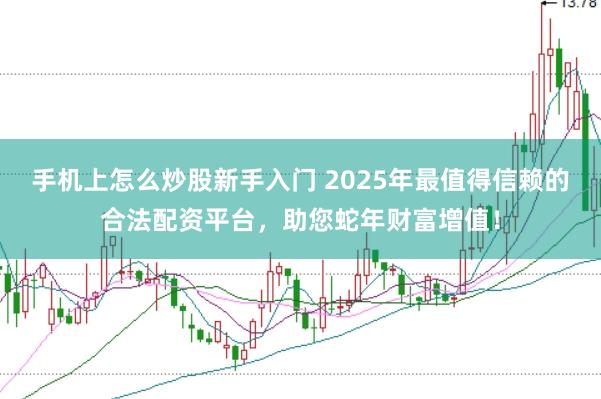 手机上怎么炒股新手入门 2025年最值得信赖的合法配资平台，助您蛇年财富增值！