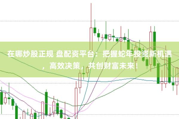 在哪炒股正规 盘配资平台：把握蛇年投资新机遇，高效决策，共创财富未来！