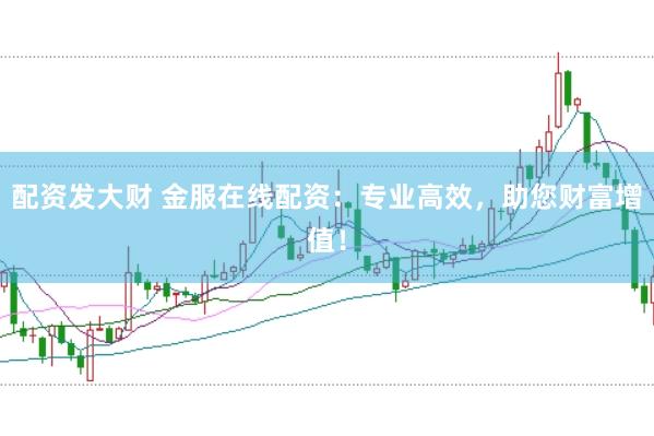 配资发大财 金服在线配资：专业高效，助您财富增值！