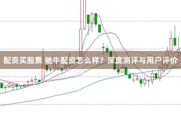 配资买股票 驰牛配资怎么样？深度测评与用户评价