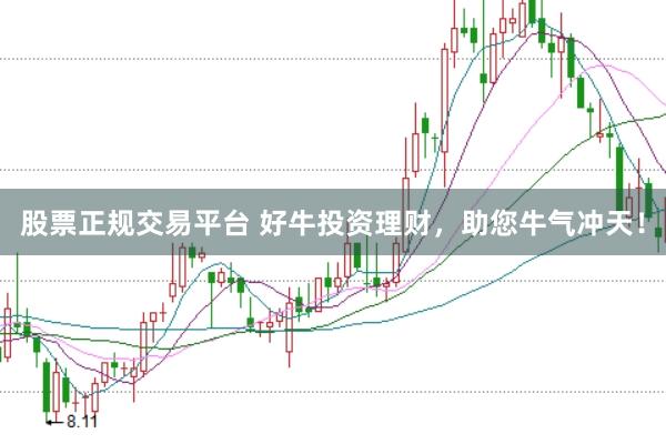 股票正规交易平台 好牛投资理财，助您牛气冲天！