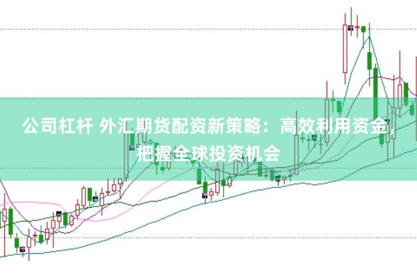 公司杠杆 外汇期货配资新策略：高效利用资金，把握全球投资机会
