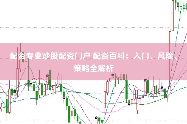 配资专业炒股配资门户 配资百科：入门、风险、策略全解析