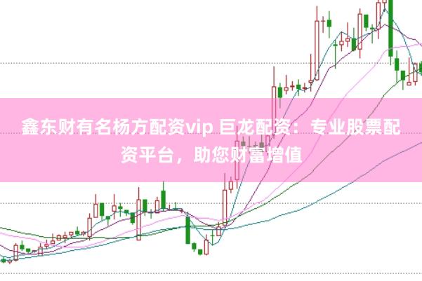 鑫东财有名杨方配资vip 巨龙配资：专业股票配资平台，助您财富增值